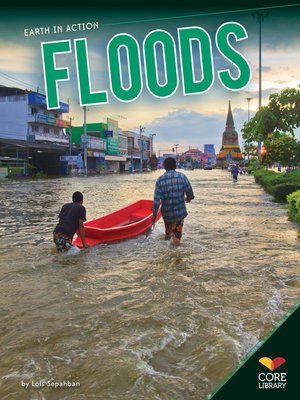 Floods - ebook
